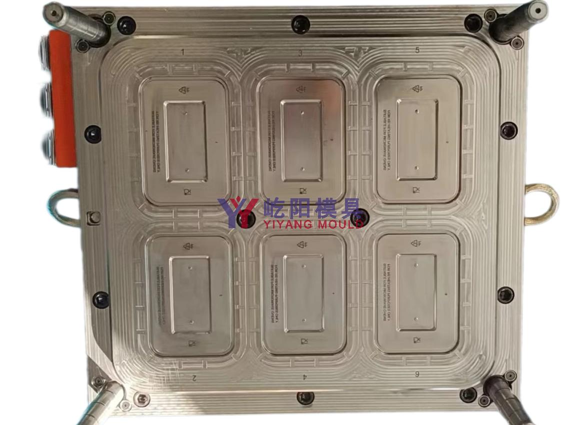一次性快餐盒模具 Disposable fast food container mold